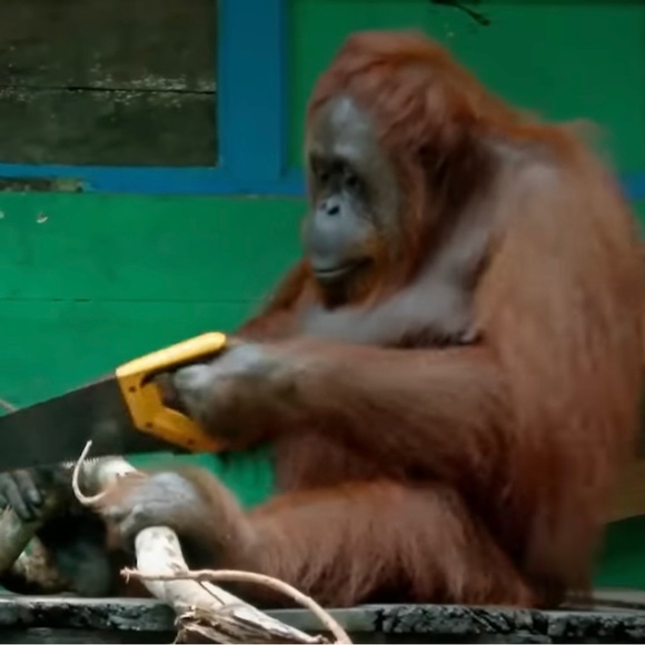 Danny - Picture 1 of 2